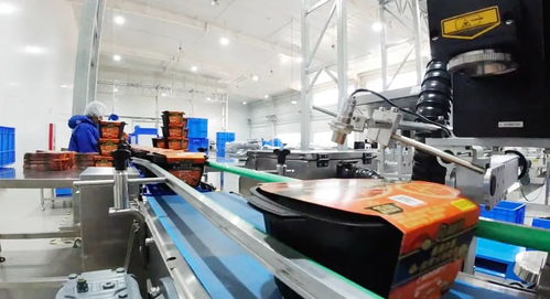 一盒自熱火鍋催熟產(chǎn)業(yè)集群 國內(nèi)大循環(huán)下的消費新格局